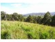 Burrell Creek NSW 2429