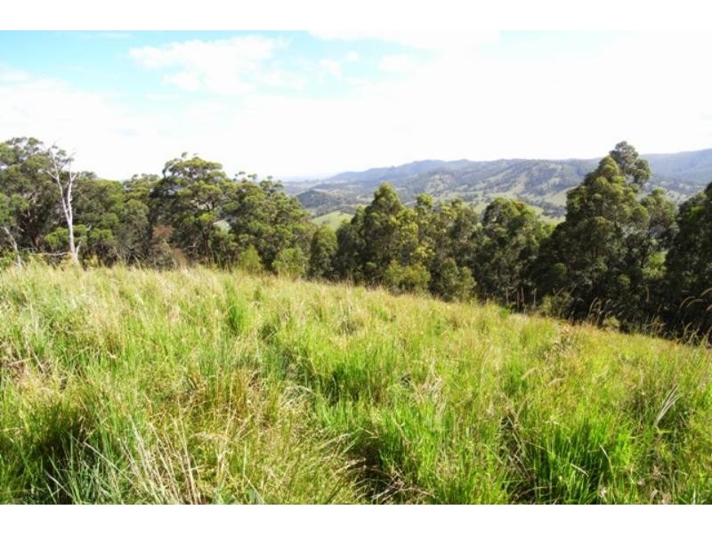 Burrell Creek NSW 2429