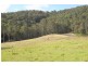 Burrell Creek NSW 2429