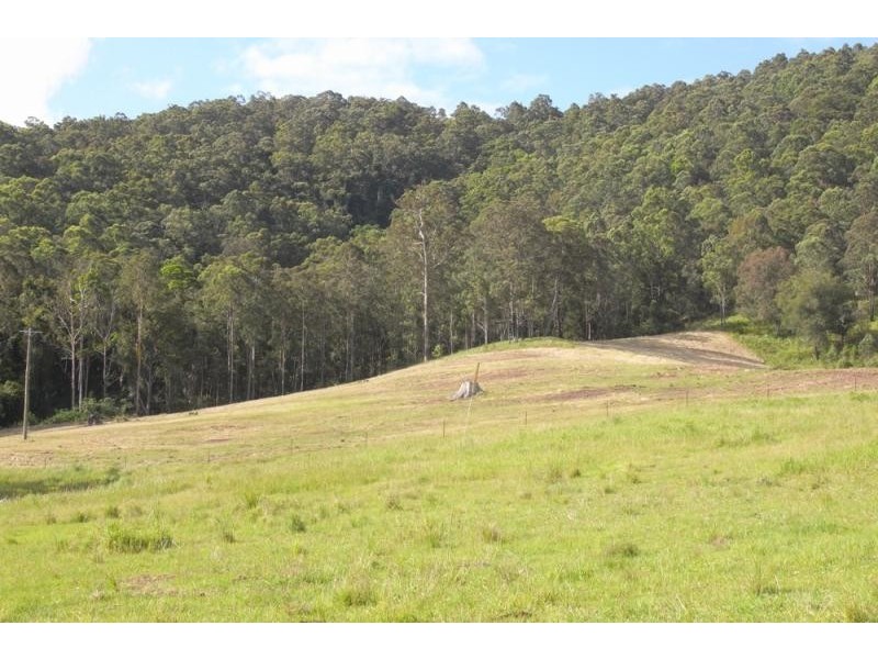 Burrell Creek NSW 2429