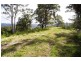 Burrell Creek NSW 2429