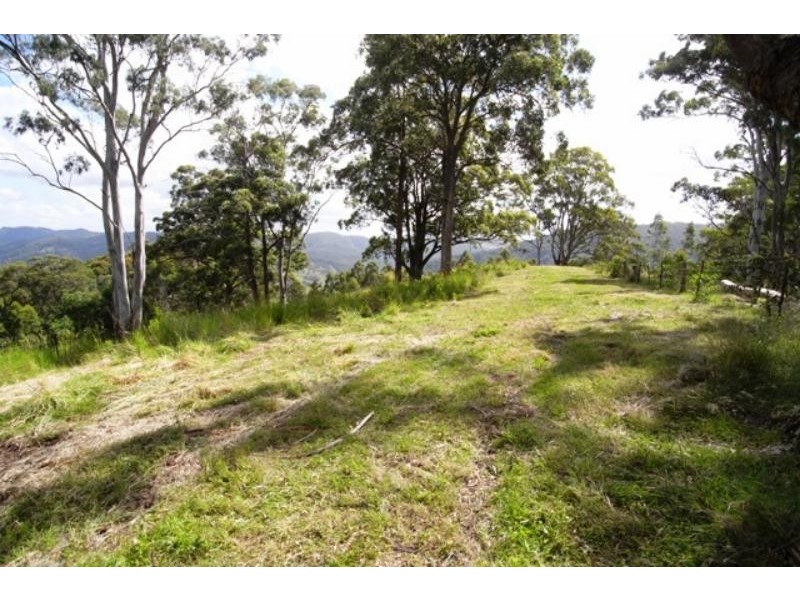 Burrell Creek NSW 2429