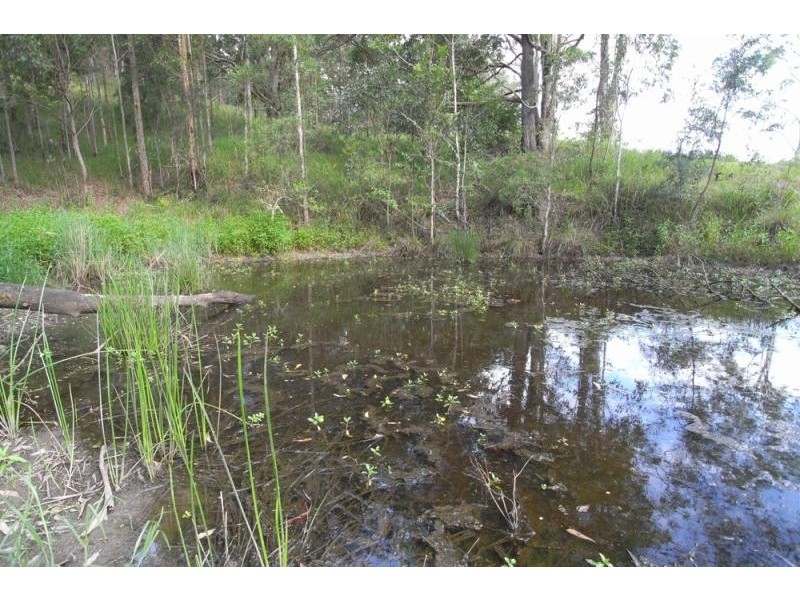 Burrell Creek NSW 2429