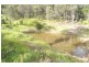 Burrell Creek NSW 2429
