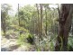 Burrell Creek NSW 2429