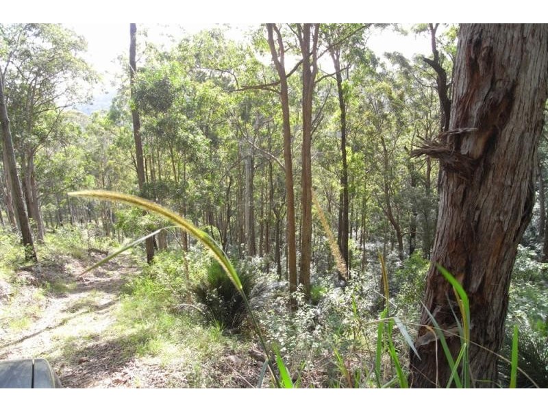 Burrell Creek NSW 2429