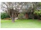 Wingham NSW 2429