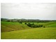 Wingham NSW 2429