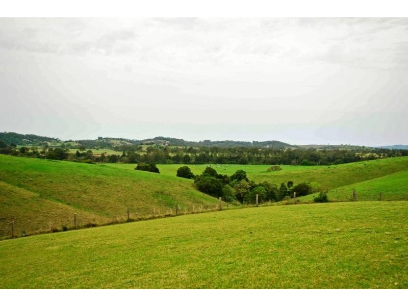 Wingham NSW 2429