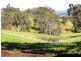 Wingham NSW 2429