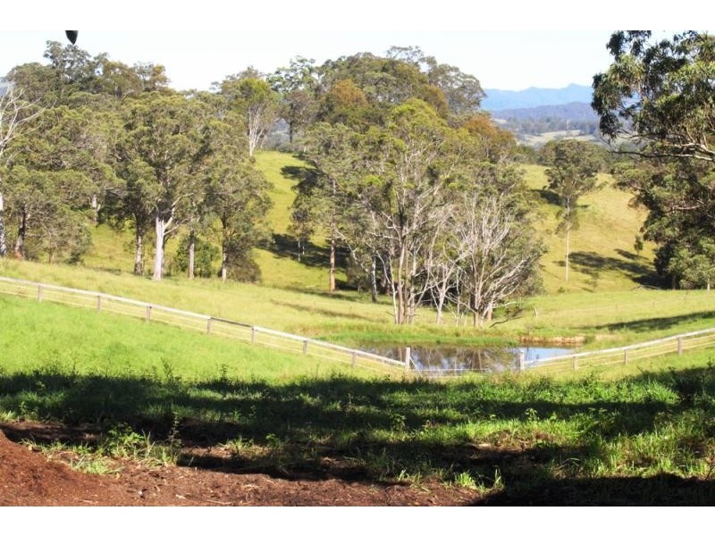 Wingham NSW 2429