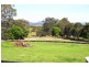 Wingham NSW 2429