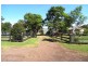 Wingham NSW 2429