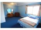 Wingham NSW 2429