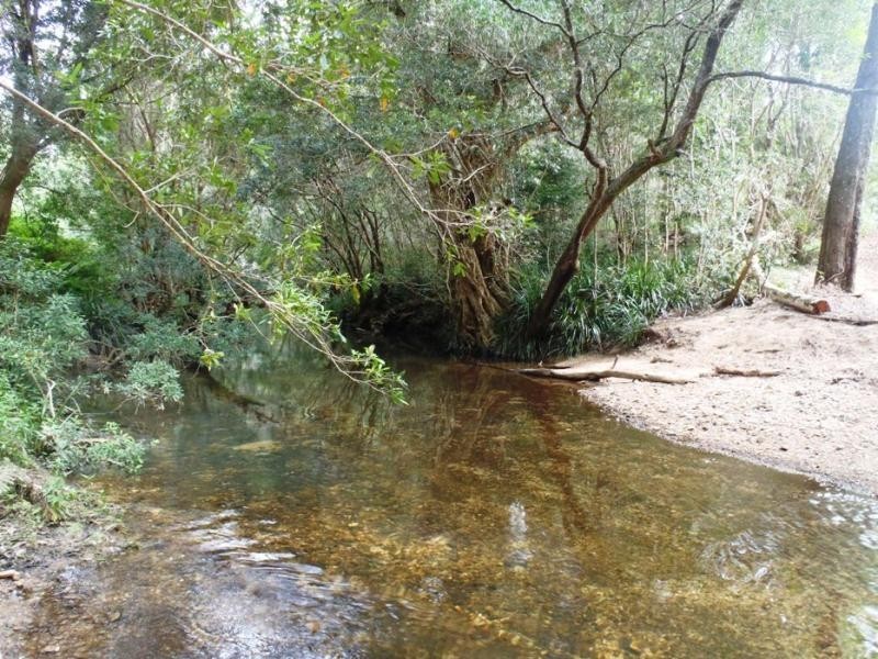 Doyles River NSW 2446