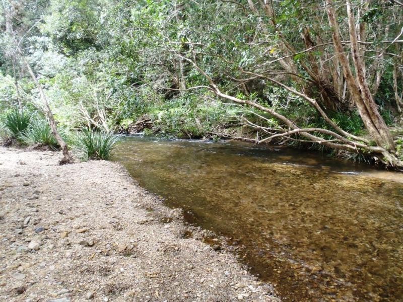 Doyles River NSW 2446