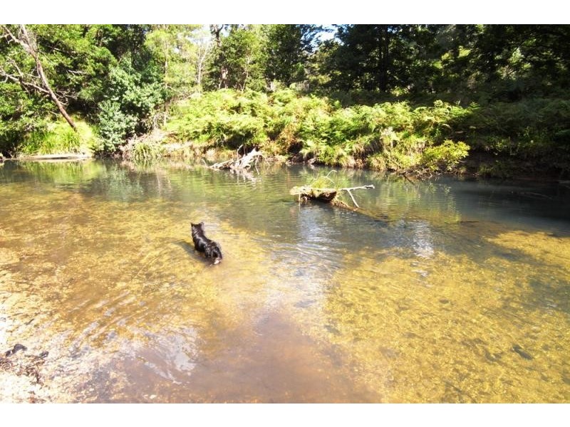 Doyles River NSW 2446