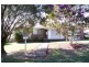 Wingham NSW 2429