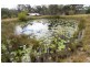 Killawarra NSW 2429