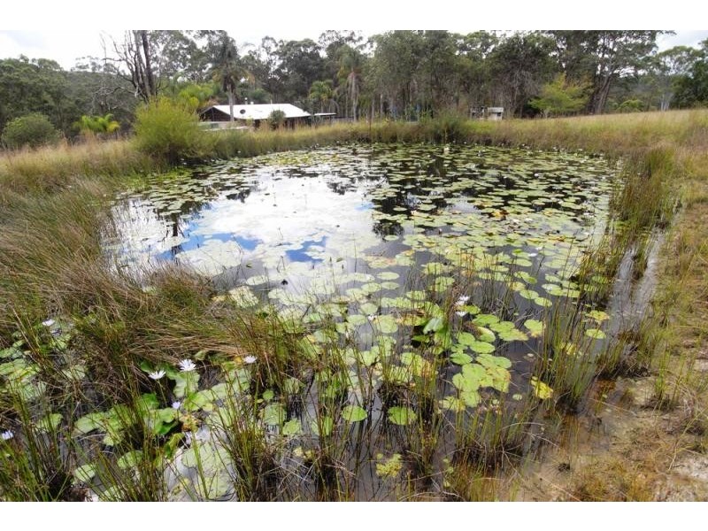 Killawarra NSW 2429