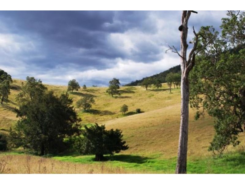 Cooplacurripa NSW 2424