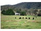 Cooplacurripa NSW 2424