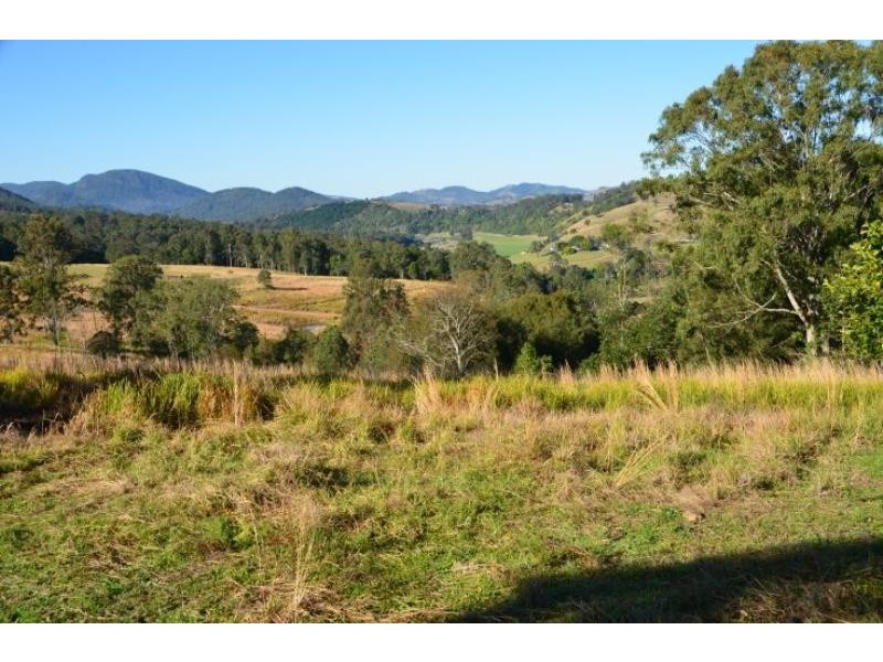 Knorrit Flat NSW 2424