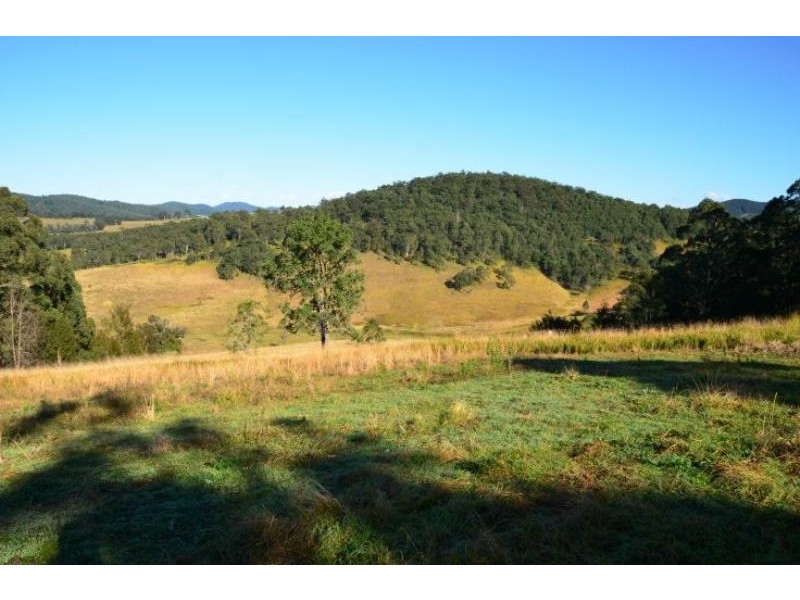 Knorrit Flat NSW 2424