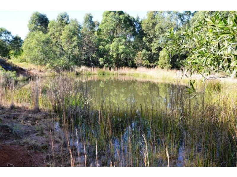 Karaak Flat NSW 2429