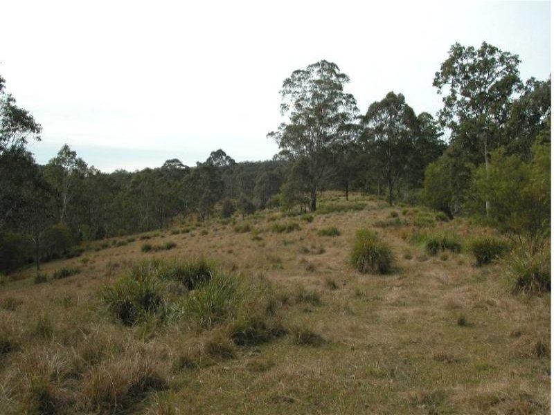 Doyles River NSW 2446