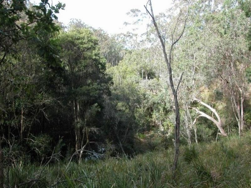 Doyles River NSW 2446