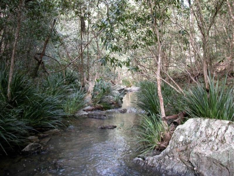 Doyles River NSW 2446