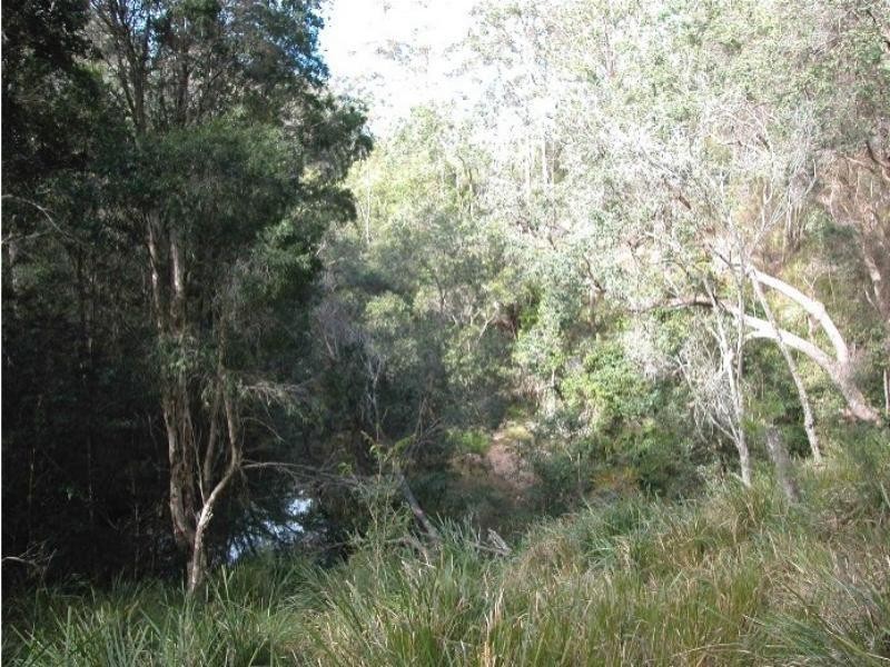 Doyles River NSW 2446