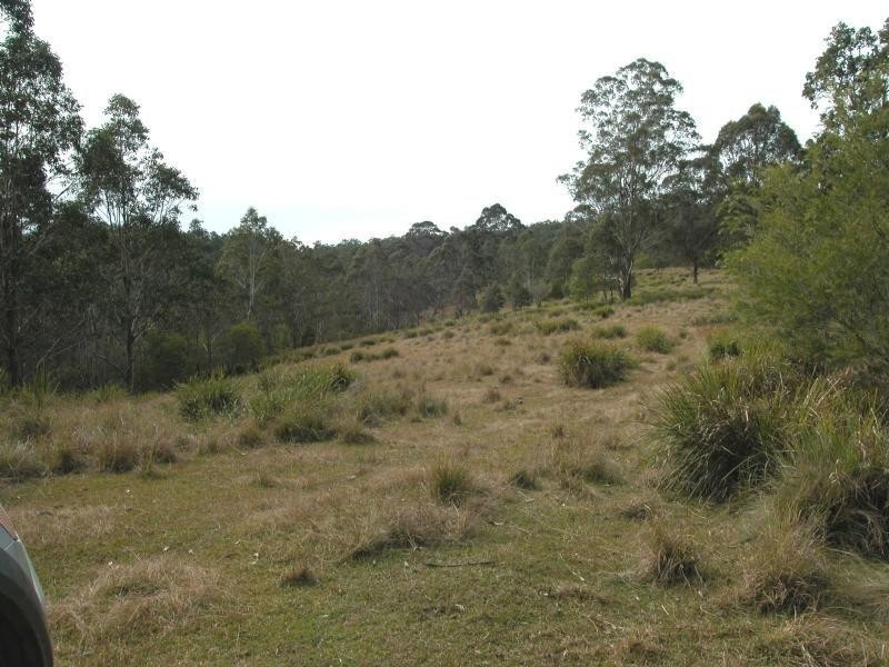 Doyles River NSW 2446