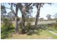 29 Murray Rd, Wingham NSW 2429
