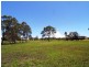 1 Coghlan Ave, Wingham NSW 2429