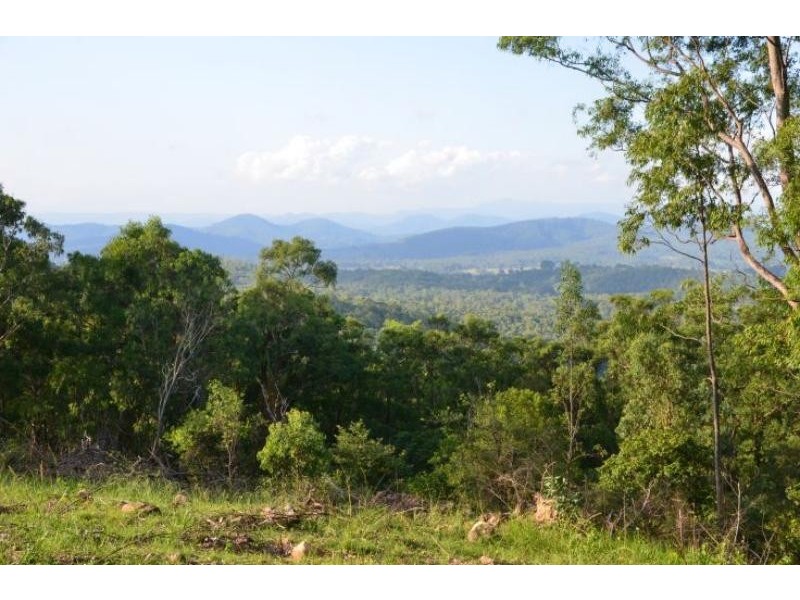 Dollys Flat NSW 2429