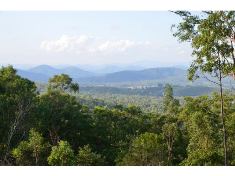 Dollys Flat NSW 2429