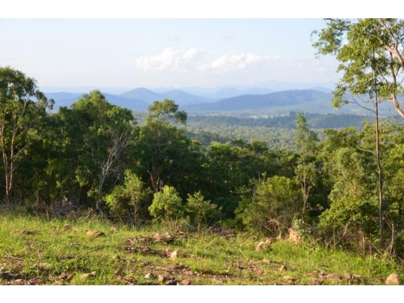 Dollys Flat NSW 2429