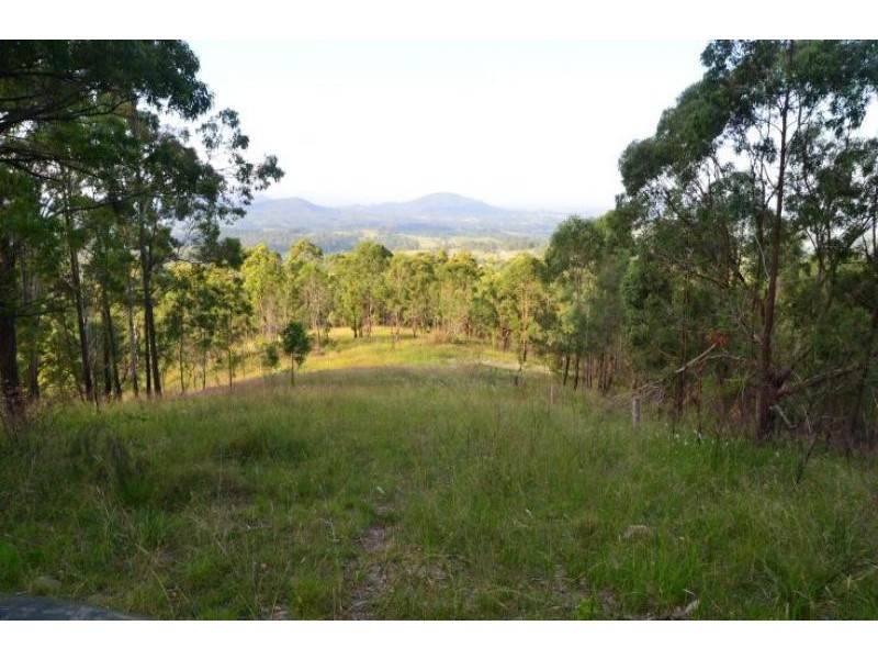 Dollys Flat NSW 2429