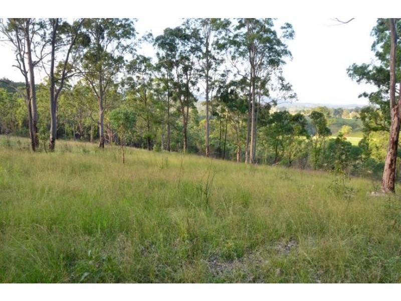 Dollys Flat NSW 2429