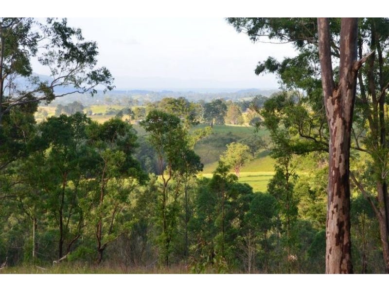 Dollys Flat NSW 2429