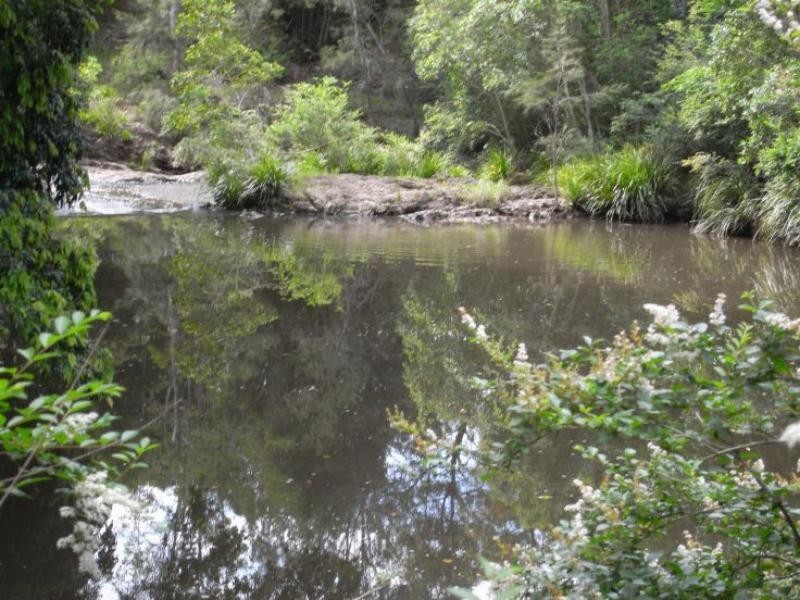 57 Queen St, Wingham NSW 2429