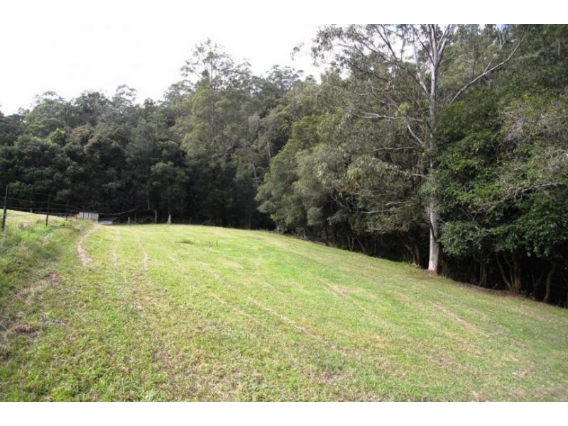 Caparra NSW 2429
