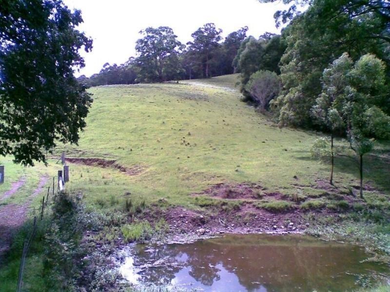 Marlee NSW 2429