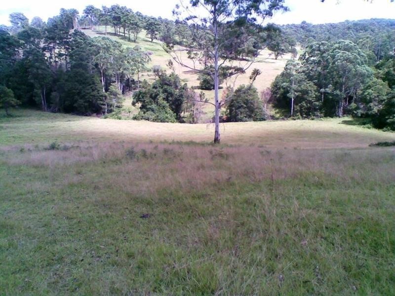 Marlee NSW 2429