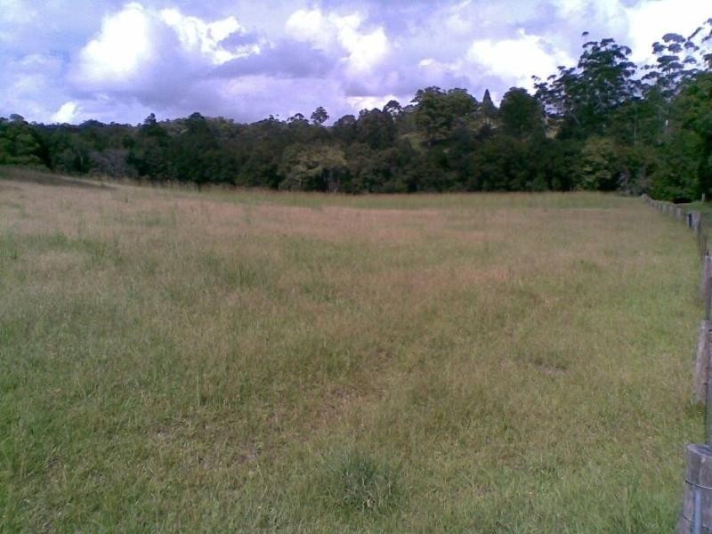 Marlee NSW 2429