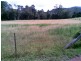 Marlee NSW 2429