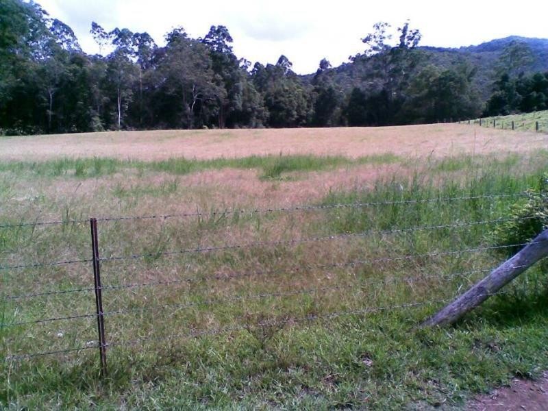 Marlee NSW 2429
