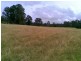 Marlee NSW 2429